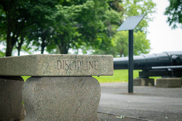 discipline